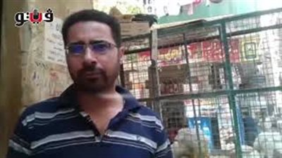 بالفيديو.. تراجع أسعار الدواجن بالأسواق