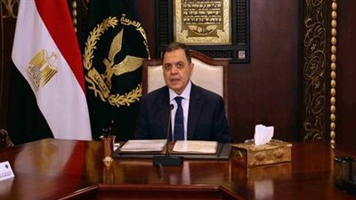 «الداخلية» توافق لـ23 مصريا على التجنس بجنسيات أجنبية