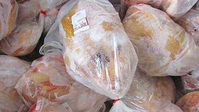 منتجو الدواجن: الاستيراد تجاوز ما يحتاجه السوق بعشرات المرات