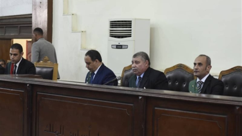 المستشار حسن فريد،