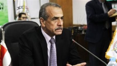 التعبئة والإحصاء: إعلان نتائج التعداد الاقتصادي أكتوبر المقبل