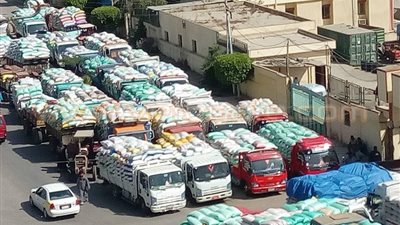 بالصور.. تكدس سيارات نقل القمح أمام أحد مطاحن البحيرة