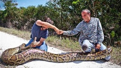 بالصور.. شابان يمسكان بثعبان ضخم بولاية فلوريدا