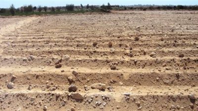 جهاز 15 مايو: إعادة صلاحيات تخصيص الأراضى الصناعية إلى 