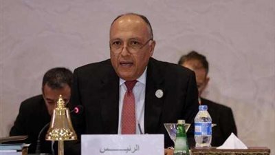 مسئول اسرائيلي يزعم: التقارب بين تل أبيب وأنقرة يزعج القاهرة