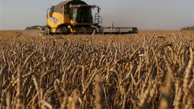 روسيا: سياسة مصر لن تؤثر على صادراتنا من القمح