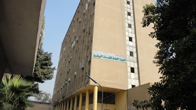 الخدمات البيطرية تنظم 21 ندوة إرشادية لأصحاب مزارع الدواجن