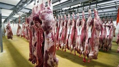 عضو بشعبة القصابين: ارتفاع الطلب على اللحوم بنسبة 30%