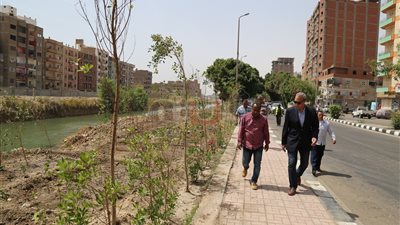 محافظ قنا يتفقد أعمال التطوير والتجميل بشارعي مصر أسوان (صور)