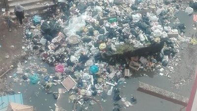 بالصور.. أهالي «الأمير» بالقليوبية يستغيثون من انتشار القمامة والصرف