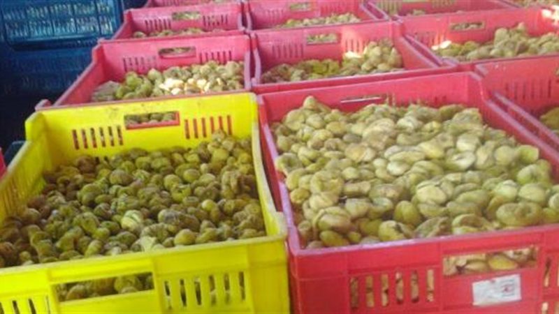 ياميش منتهي الصلاحية-