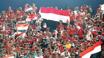 وزير الرياضة يلبي رغبة أحد متحدى الإعاقة بإستاد القاهرة (صور)