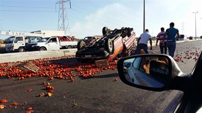سيارة «طماطم» تغلق الطريق الزراعي في القليوبية