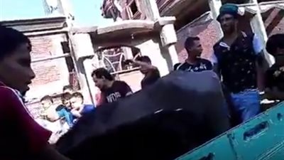 «الجاموسة رجعت البيت».. زفة في دمياط بعد عودة ماشية مسروقة (فيديو)