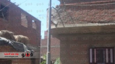 بالصور.. إنارة أعمدة الكهرباء بالشرقية نهارًا