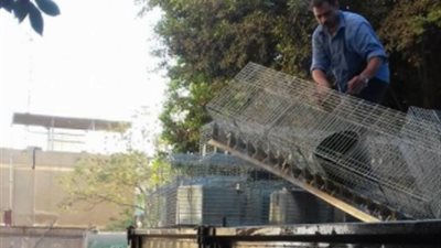 بالصور.. إزالة أكشاك مخالفة لتعديها على أراضي الدولة في القليوبية