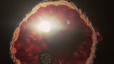 ابنا زينة يغنيان لها في عيد ميلادها (فيديو)