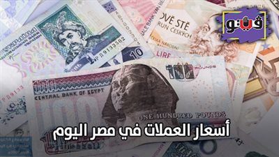 اسعار العملات في مصر اليوم | اسعار العملات الأجنبية مقابل الجنيه اليوم
