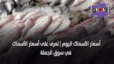 اسعار الأسماك اليوم | تعرف على اسعار الأسماك في سوق الجملة