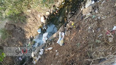 بالصور.. جفاف ترعة زاوية جروان يهدد ببوار 200 فدان في المنوفية