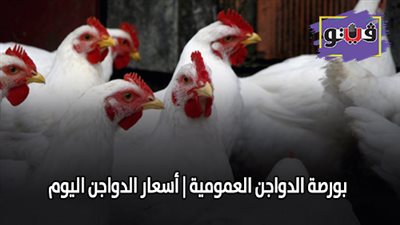 بورصة الدواجن العمومية | اسعار الدواجن اليوم