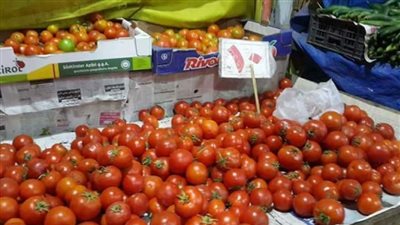 «الزراعة»: ارتفاع أسعار الطماطم بسبب أزمة التقاوي المغشوشة