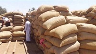 استدعاء وكيل «تموين الشرقية» في واقعة اختلاس 1400 طن قمح