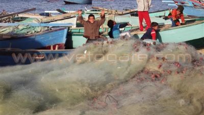 الفساد يدمر بحيرة قارون.. مياه الصرف الصحي تقتل الأسماك.. المسئولون يسرقون «الزريعة».. الصيادون يهجرون المهنة.. يطالبون بعودتها لمعهد الأحياء المائية وإنشاء رابطة ترعى مصالحهم