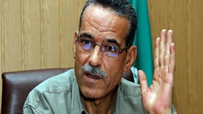 عزازي: الحكم المحلي غير موجود في مصر