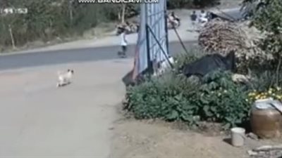 لقطات مروعة للحظة سقوط شاحنة فوق سيارة (فيديو)