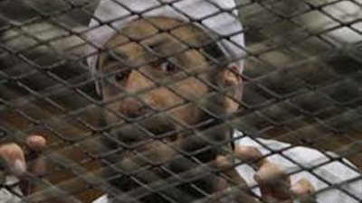 نشرة الحوادث.. إعدام 650 ألف طن لحوم وأسماك فاسدة خلال 6 أشهر.. «الداخلية»: مرتكبو حادث الجنود الأربعة برفح كانوا يستقلون سيارة «فيرنا».. إحباط محاولة هروب عادل حبارة وآخرين