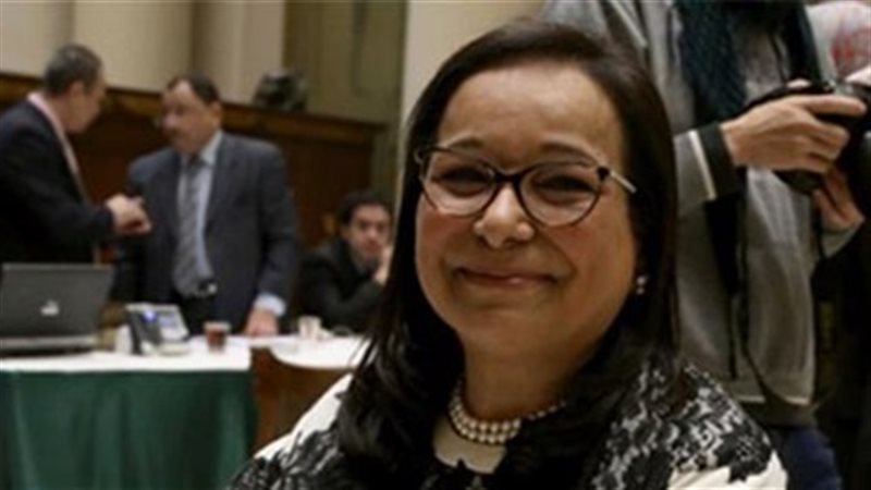 النائبه انيسه عصام