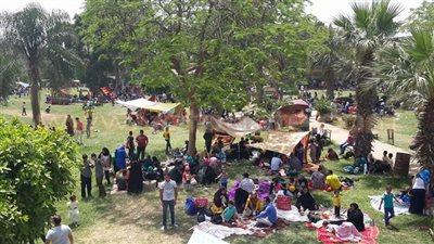 2.5 مليار جنيه ينفقها المصريون في الاحتفال بشم النسيم