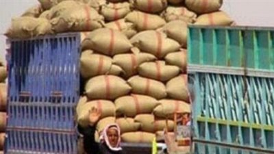 ضبط 273 طن قمح قبل تهريبها بالقليوبية