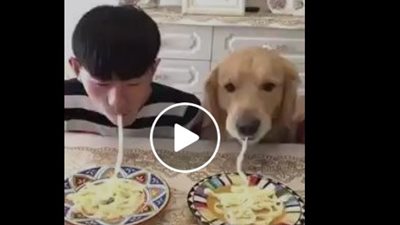 نهاية غير متوقعة لتحدي بين شاب وكلبين في تناول الطعام (فيديو)
