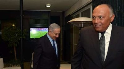 بالفيديو.. «الخارجية»: «شكري» لم يشاهد نهائي اليورو مع «نتنياهو»