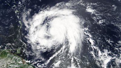 ثمن التلوث.. كيف يمكن لاقتصاد السوق إنقاذ المناخ