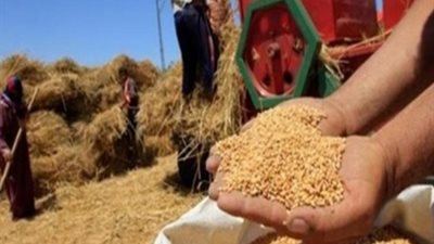 توريد 73 ألف طن قمح للصوامع والشون بأسوان