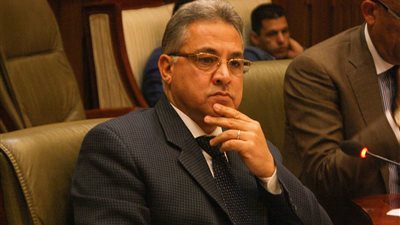 السجيني: «رسوم تراخيص عربات الفول مش زي سيارات المأكولات الكبيرة»