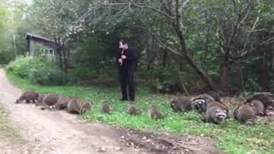 وسيلة جديدة لجذب الحيوانات إلى الطعام (فيديو)