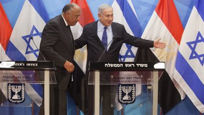 «الحزب الناصري»: زيارة سامح شكري لإسرائيل عار