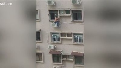 بالفيديو.. عامل يخاطر بحياته لتركيب تكييف على ارتفاع شاهق