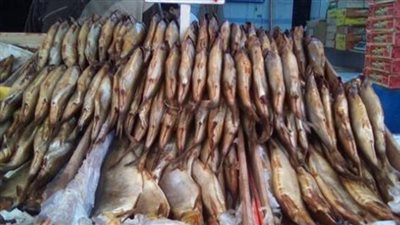 ضبط 12 طن رنجة وفسيخ منتهية الصلاحية بالدقهلية