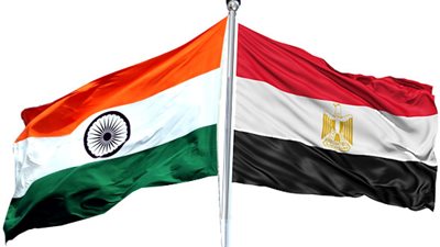 «هندوستان تايمز»: الهند تعزز علاقاتها مع مصر في مجال الآثار