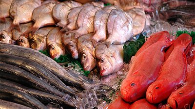 التموين: بدء تفعيل بروتوكول توريد الأسماك مع الزراعة.. السبت المقبل