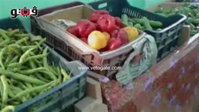 بالفيديو.. الكوسة تسجل 9 جنيهات بالأسواق