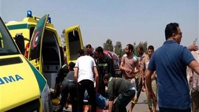 بالأسماء.. إصابة 8 في انقلاب سيارة جنوب بورسعيد