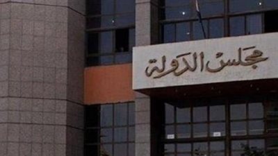 20 طعنا على انتخابات غرف السياحة أمام مجلس الدولة