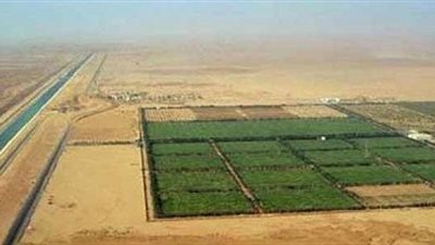 الشروط المبدئية للحصول على أراضي الـ1.5 مليون فدان دون قرعة