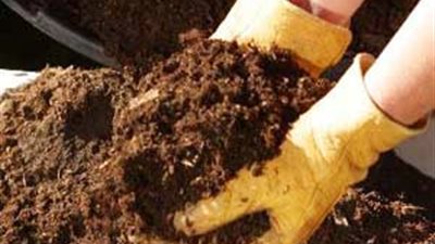 اكتشاف سماد يسهم في زيادة إنتاجية فدان القمح بنسبة 30%